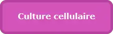 Bouton - Pôle culture cellulaire