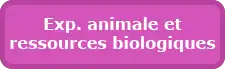 Bouton - Pôle expérimentation animale et ressources biologiques